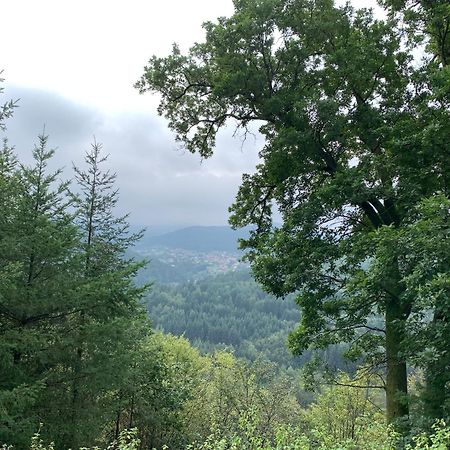 Camping De La Sarre Abreschviller ภายนอก รูปภาพ