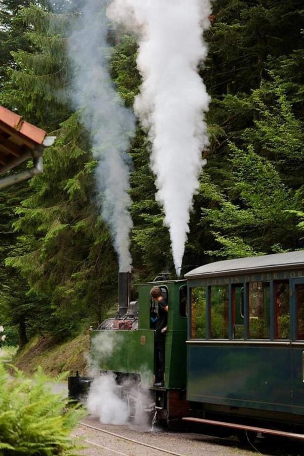 Camping De La Sarre Abreschviller ภายนอก รูปภาพ