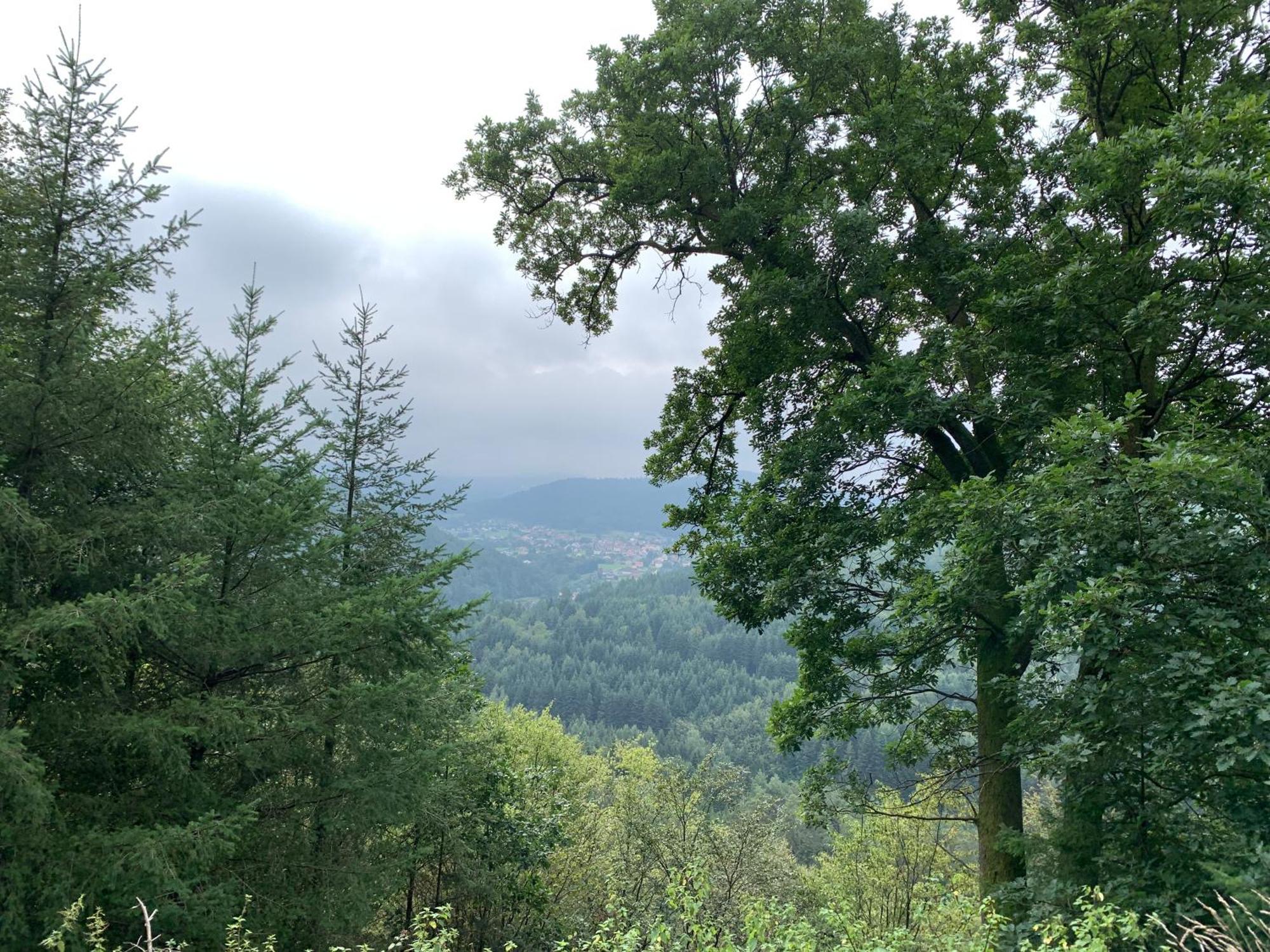 Camping De La Sarre Abreschviller ภายนอก รูปภาพ